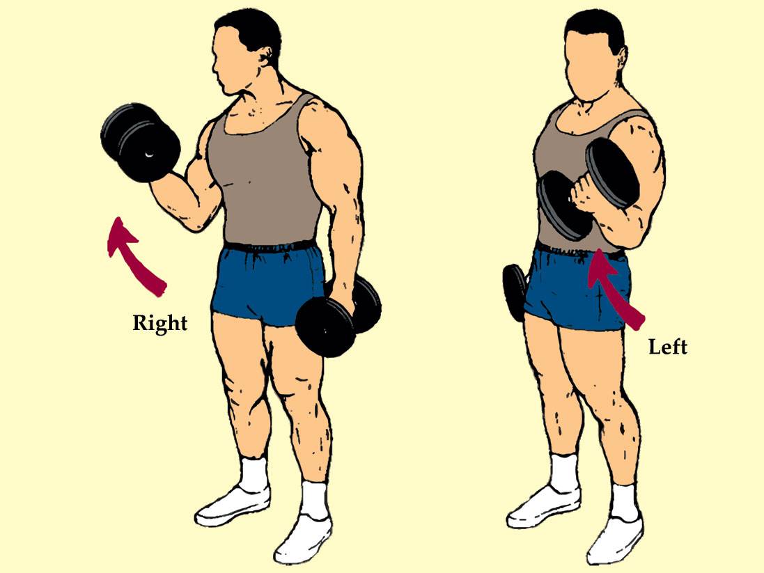 Раритетный тренинг: сгибания зоттмана. сгибания зоттмана: как сделать тюнинг рук упражнение зоттмана