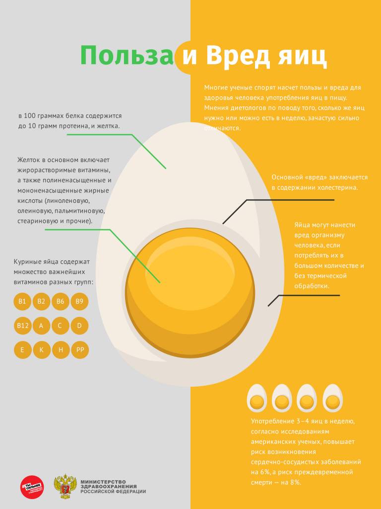 Сколько яиц можно есть в день без вреда? | mnogoli.ru