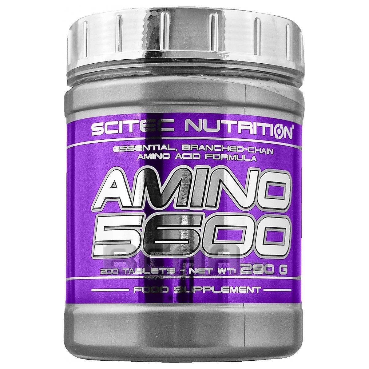 Amino 5600 scitec nutrition 200 таблеток