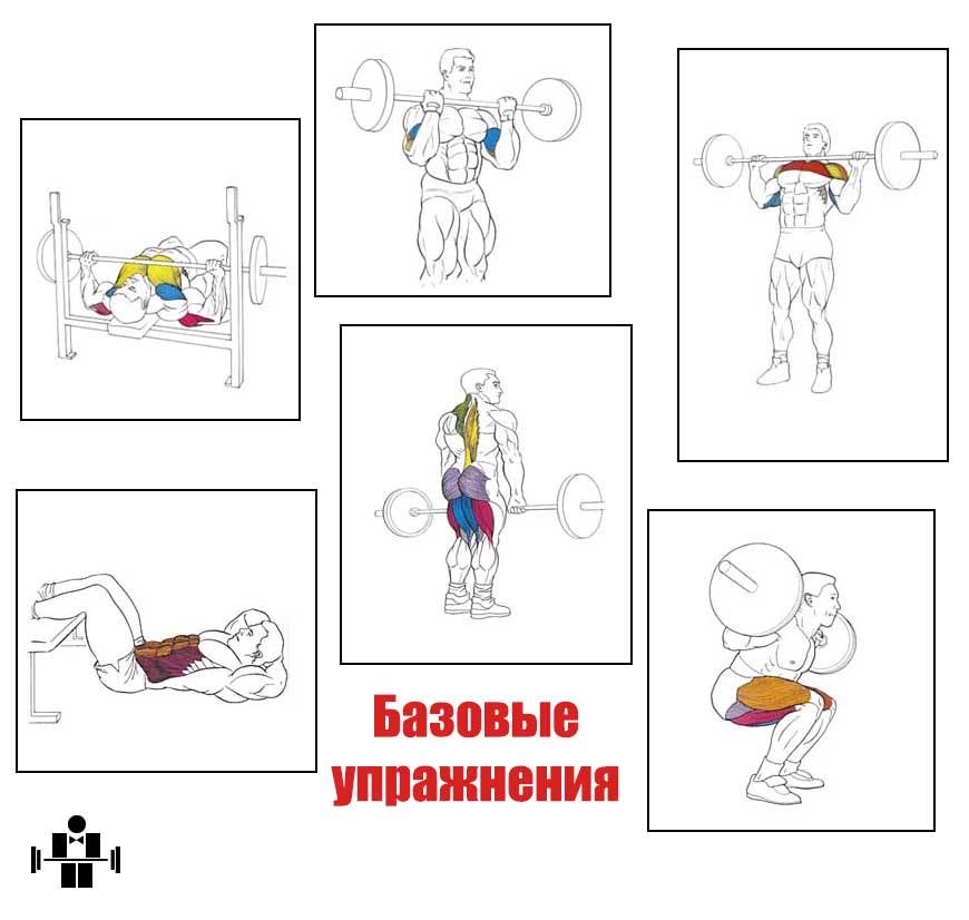 Как самостоятельно составить программу тренировок