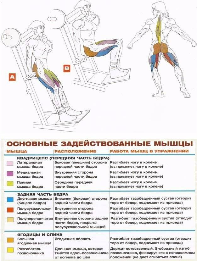 Как быстро накачать ноги?