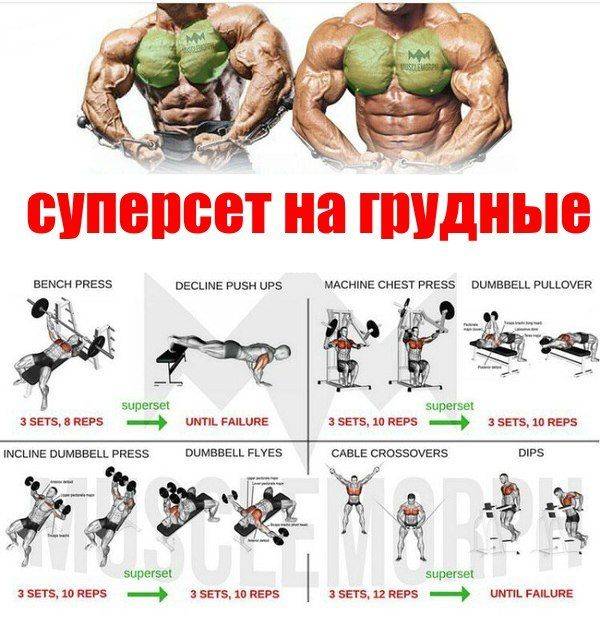Программа тренировок на грудь с суперсетами - на sportobzor.ru