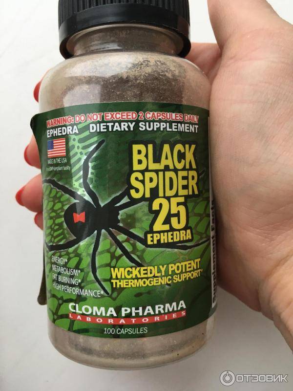 Отзывы о black spider  25 ephedra от cloma pharma * жиросжигатель black widow
