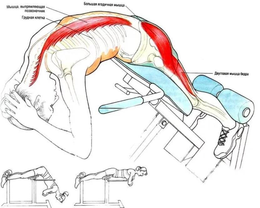 Гиперэкстензия для спины: техника упражнения дома без тренажера на полу