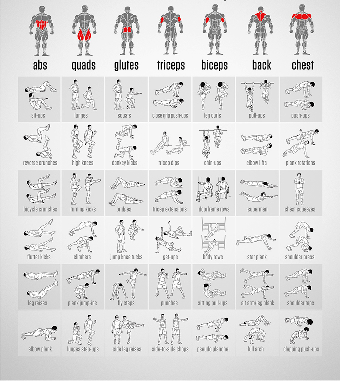 5 программ тренировки плеч на массу: лучшие комплексы упражнений на плечи в тренажерном зале для мужчин на массу