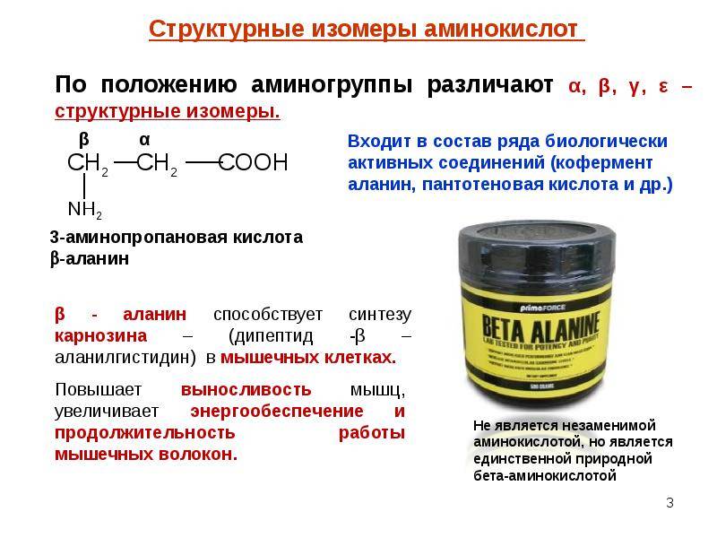 Бета-аланин: роль в организме, польза, как правильно принимать спортсменам