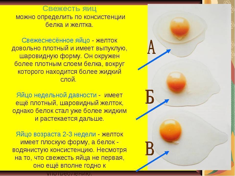 Яичный желток: калорийность, польза и вред | food and health