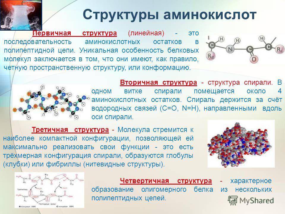 Аминокислотно-заместительная терапия: что такое азт, показания, препараты | портал 1nep.ru
