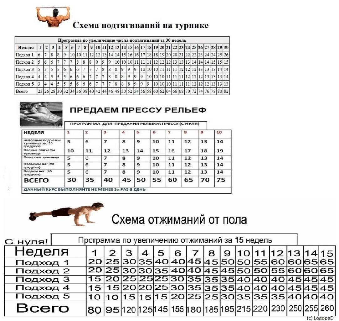Как увеличить количество подтягиваний на турнике - программа тренировок