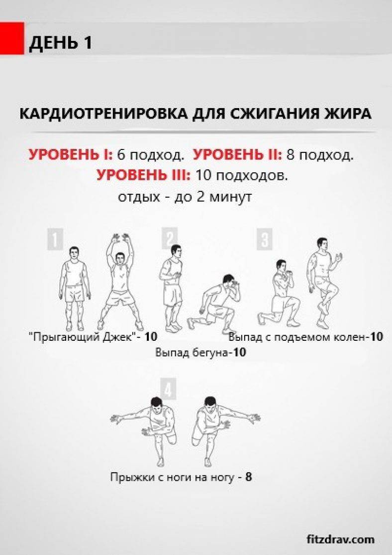 Что такое кардиотренировка: с какой целью и как проводится