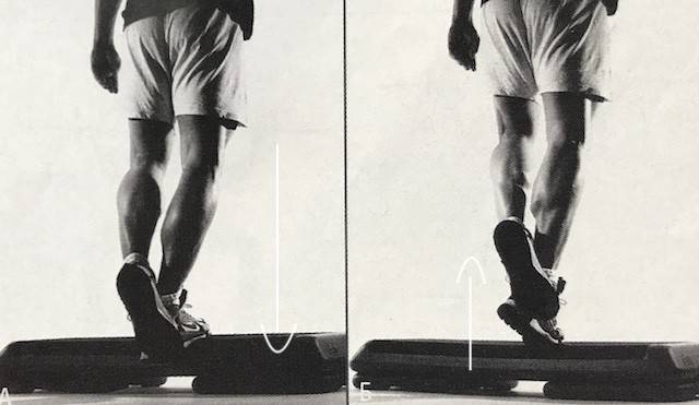 Тренировки арнольда шварценеггера: советы для ног и плеч