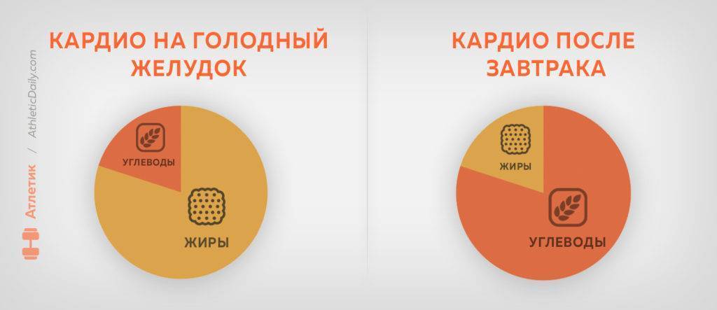 Кардио перед сном: есть ли смысл? вся правда!