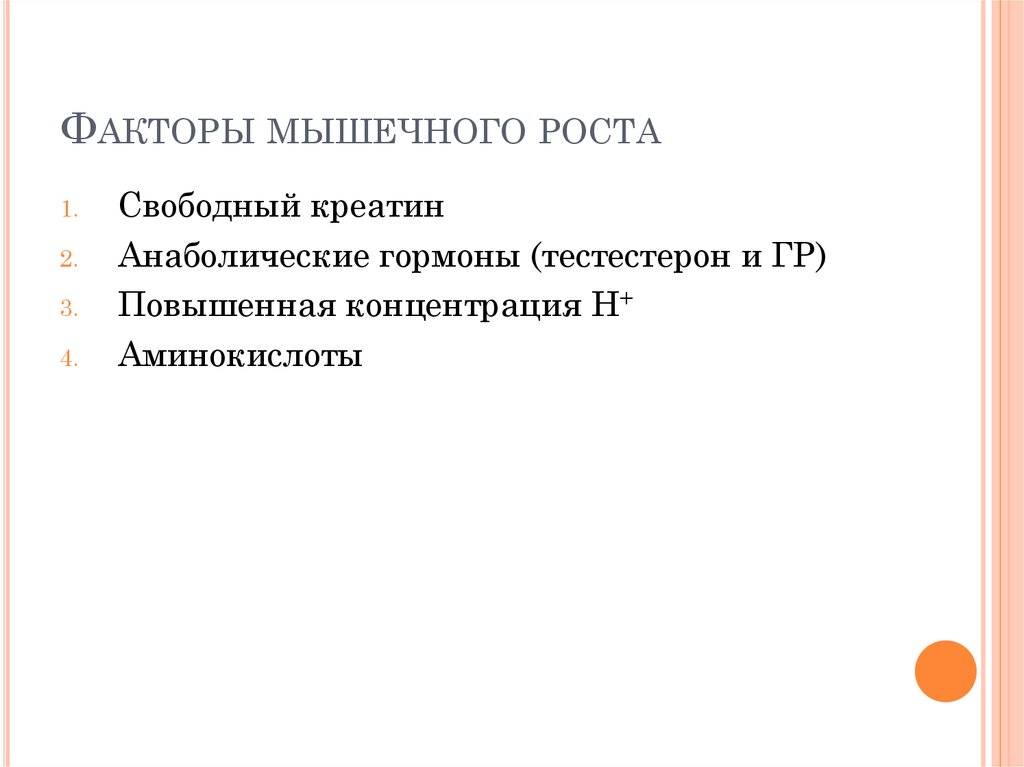 Рост мышц: вся информация о процессах и факторах роста мышц в теле человека