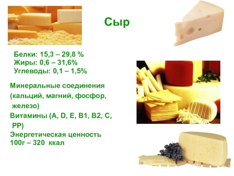 Калорийность сыр. химический состав и пищевая ценность.
