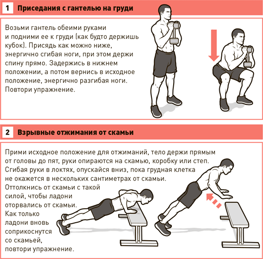Упражнения для тренировки взрывной силы и скорости мышц