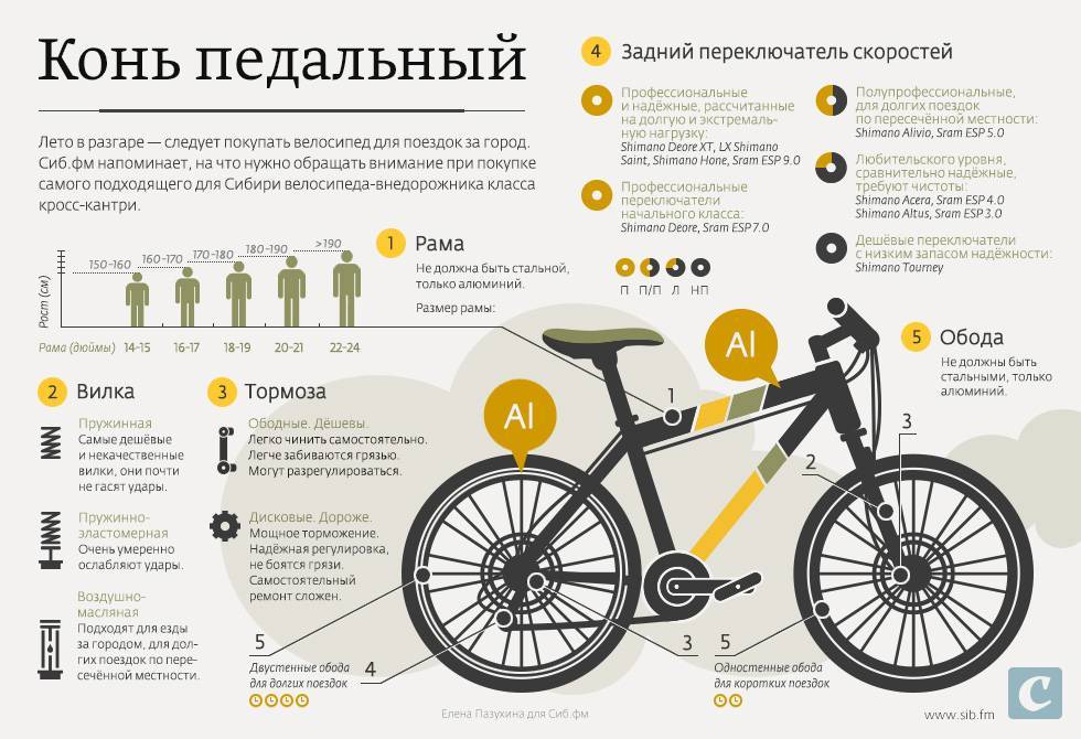 Советы новичку: как выбрать велосипед