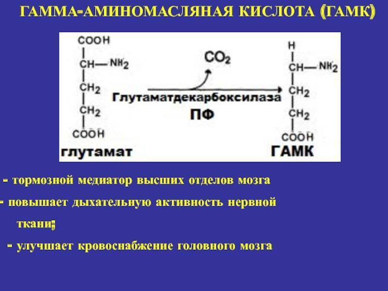 Гамк (gaba, гамма-аминомасляной кислоты) аналоги. классификатор лекарств амт.