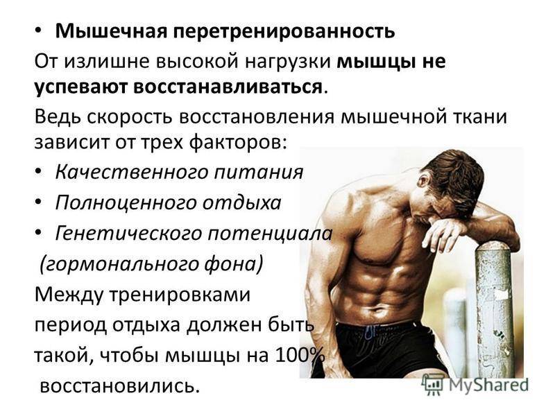 Как растут мышцы? научно обоснованные решения для максимального мышечного роста
