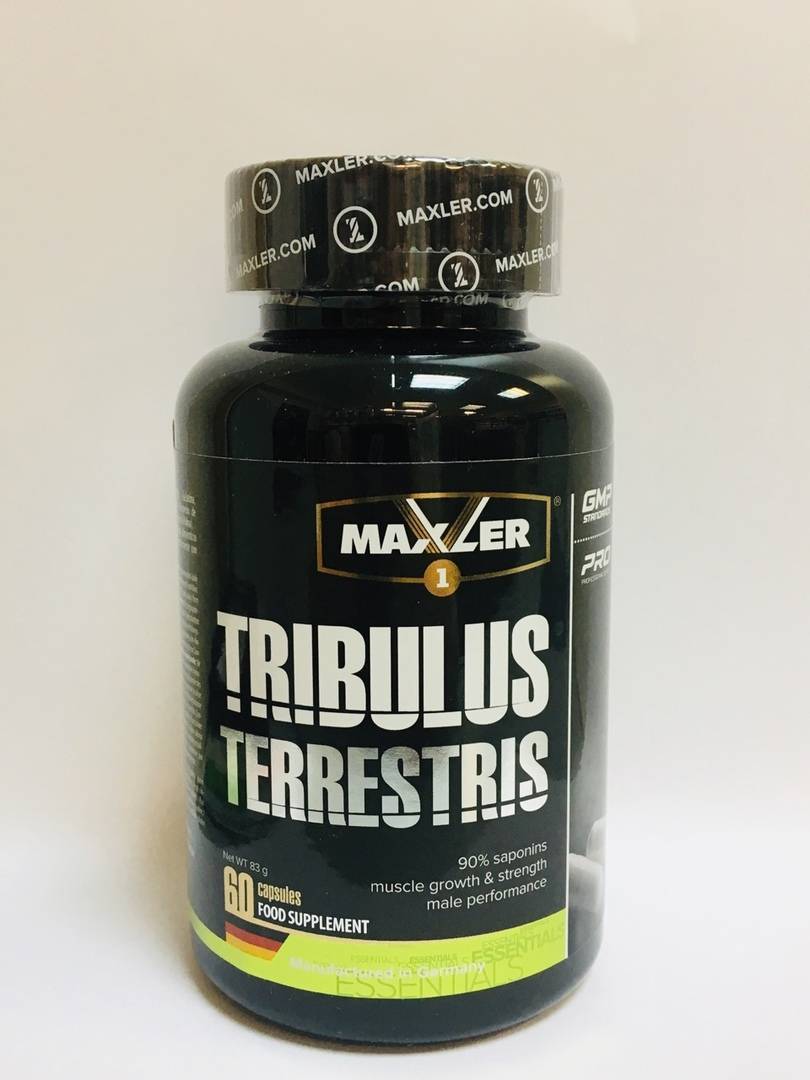 Трибулус террестрис бесполезен как бустер тестостерона. отзывы учёных - promusculus.ru
трибулус террестрис бесполезен как бустер тестостерона. отзывы учёных - promusculus.ru