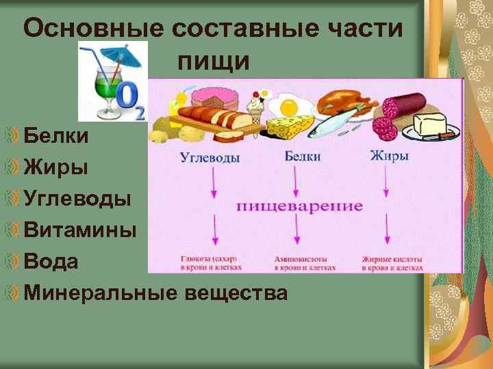 Углеводы в организме: в каких продуктах содержатся (таблица) – эл клиника