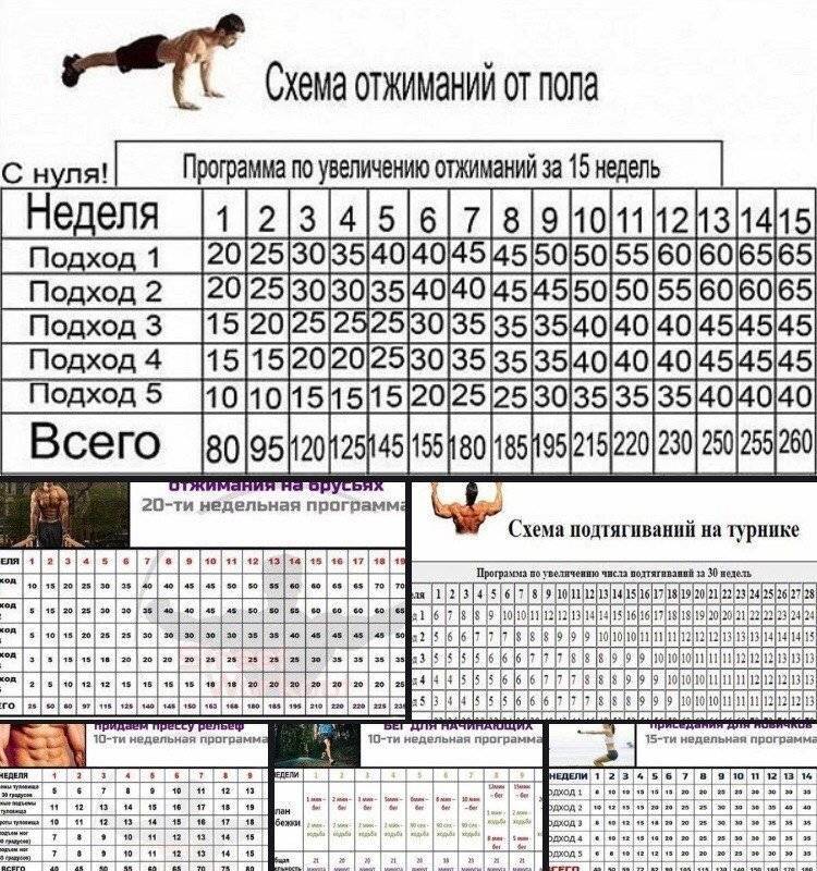 Отжимания на брусьях: какие мышцы работают, программа тренировок, техника
