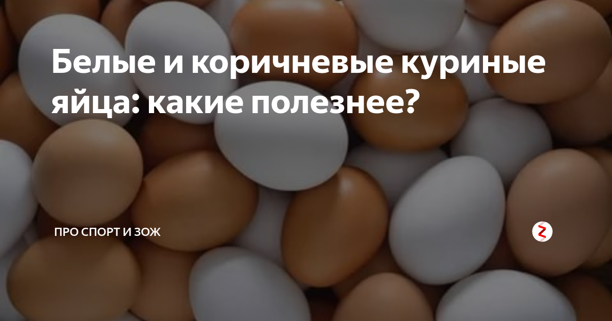 Почему у домашних кур желток. чем кормить кур чтобы желток был оранжевый. от чего зависит цвет желтка