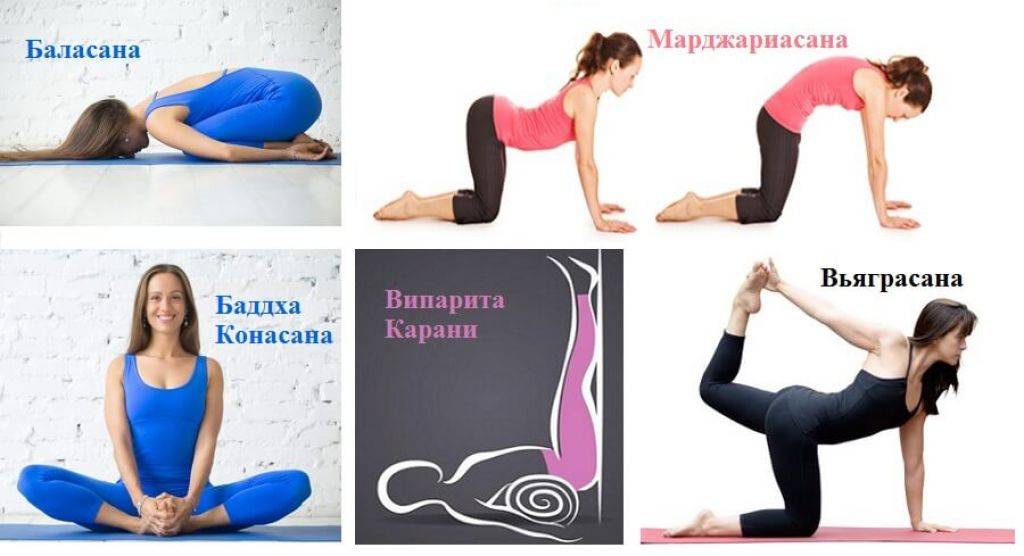 Можно ли во время месячных заниматься спортом и каким?