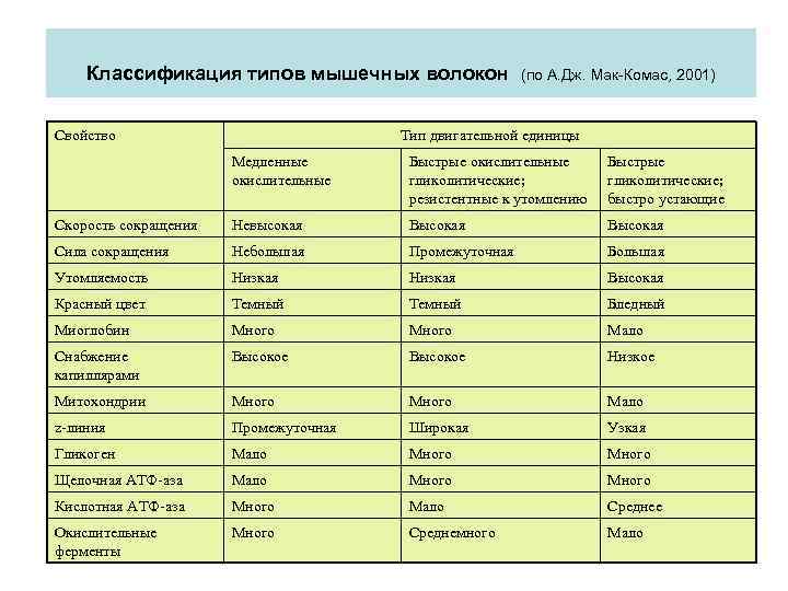 Типы мышечных волокон