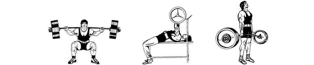 Базовый цикл пауэрлифтинга для мышц и мускулов