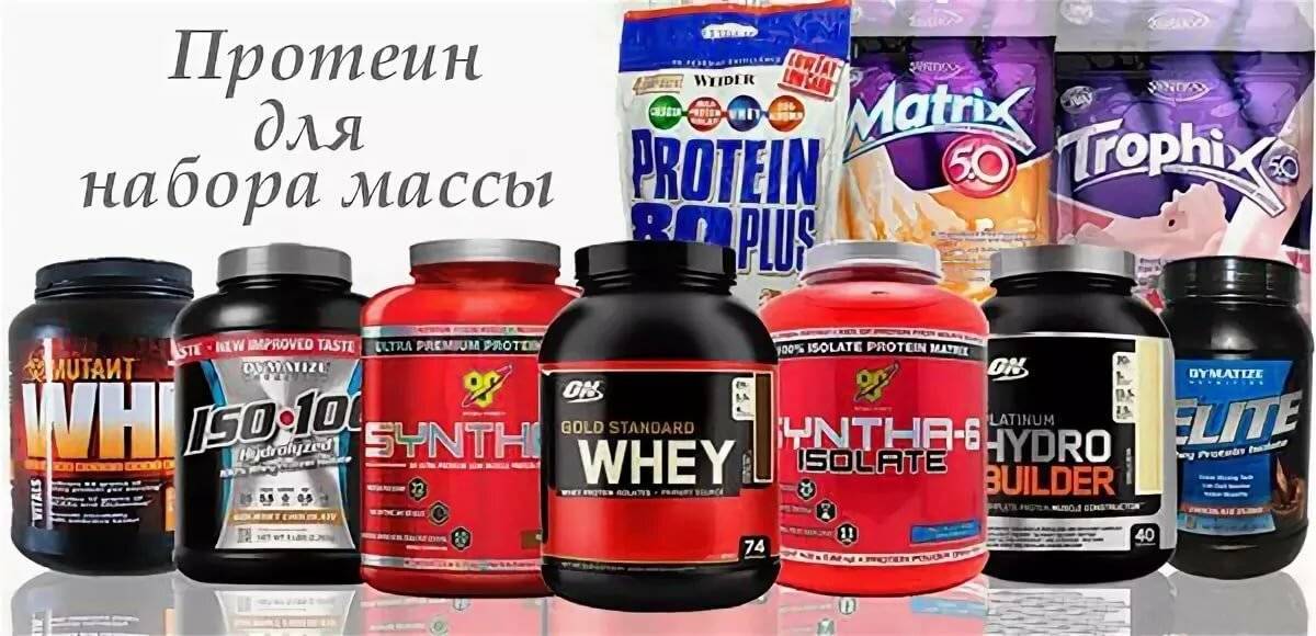 Протеин - что такое? какой протеин лучше для набора мышечной массы? :: syl.ru