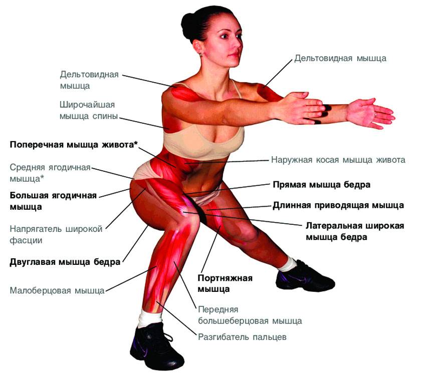 Упражнения с резиновыми петлями для мужчин и женщин