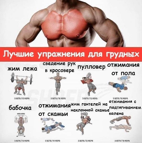 Боль в молочной железе — мастодиния | университетская клиника
