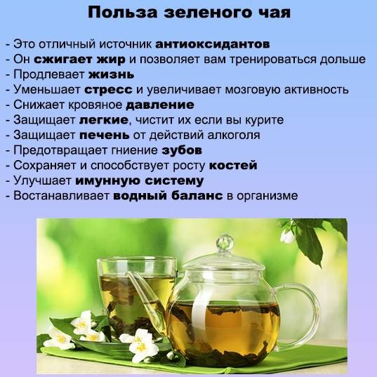 Зеленый чай повышает или понижает давление, польза и вред – эл клиника