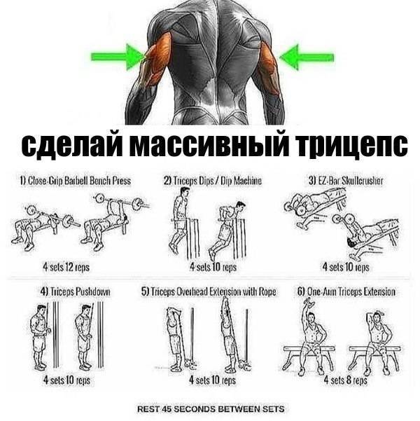 Как накачать плечи: 4 программы тренировок - dailyfit