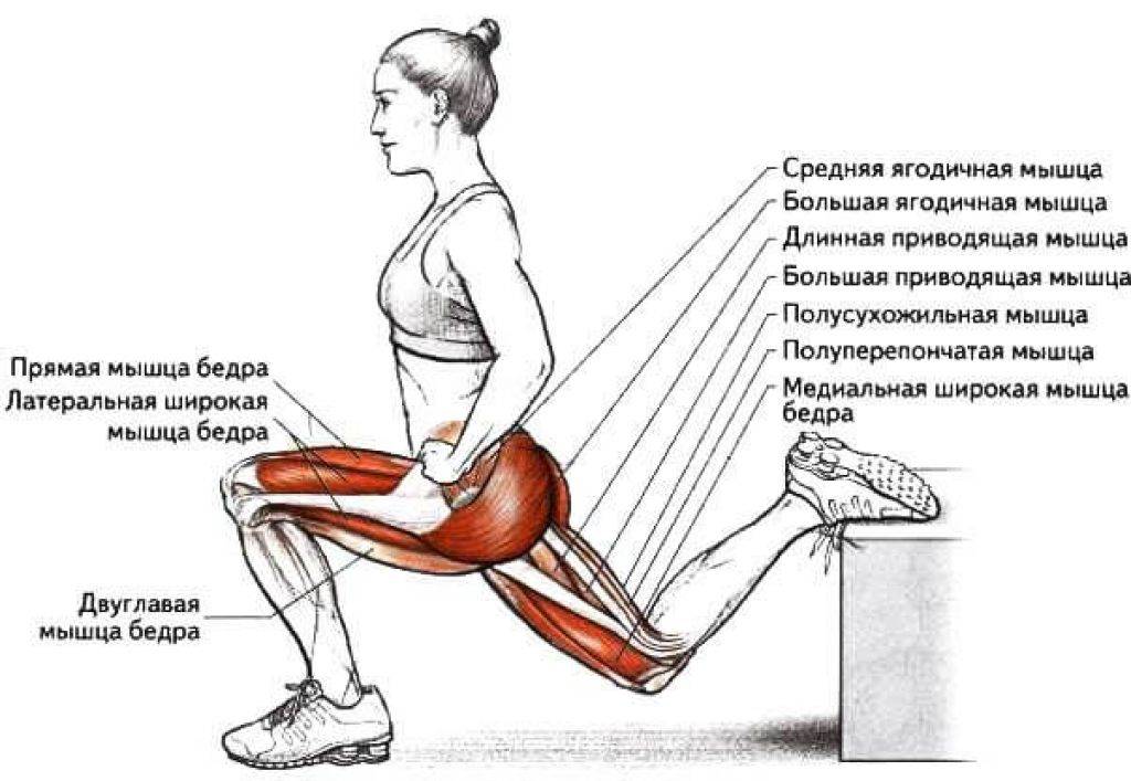 Лучшие упражнения для ягодиц и бедер улучшат тонус тела