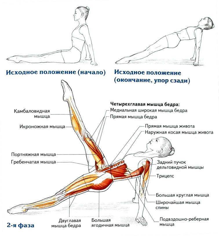 Подъем ног лежа на пресс — техника выполнения |