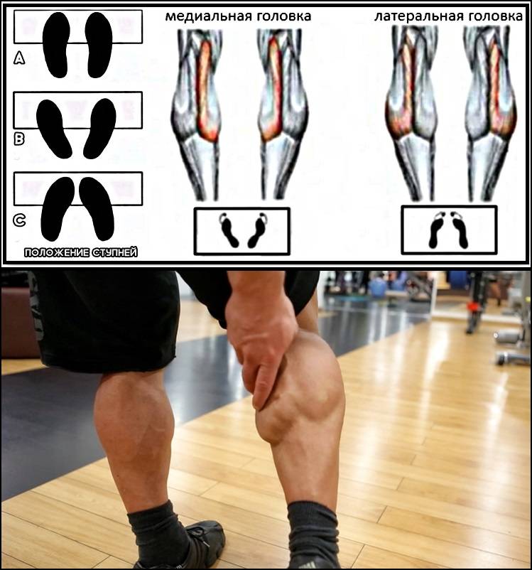 Икроножная мышца: упражнения на икры ног для мужчин и девушек