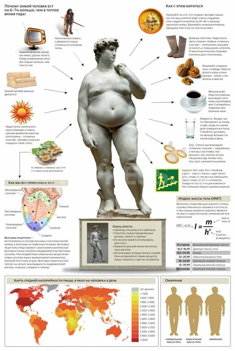 От чего толстеют люди?