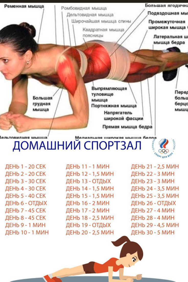 Как часто тренировать одну группу мышц: цели и задачи, периодичность - tony.ru