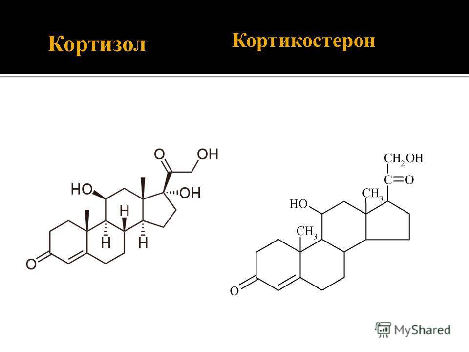 Функции кортизола