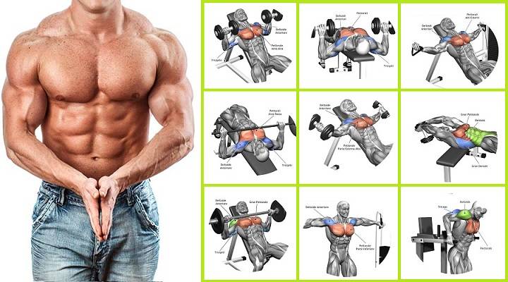 Как накачать грудные мышцы в тренажерном зале для мужчин: упражнения и программа тренировки груди