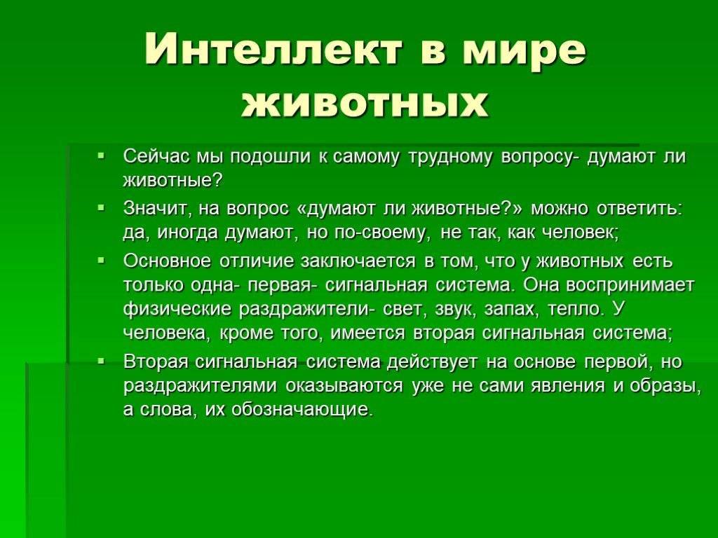 Что такое инстинкты и есть ли они у нас — нож