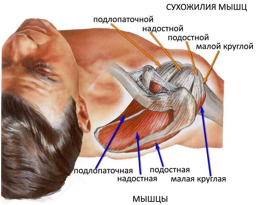 Повреждение ротаторной манжеты плеча