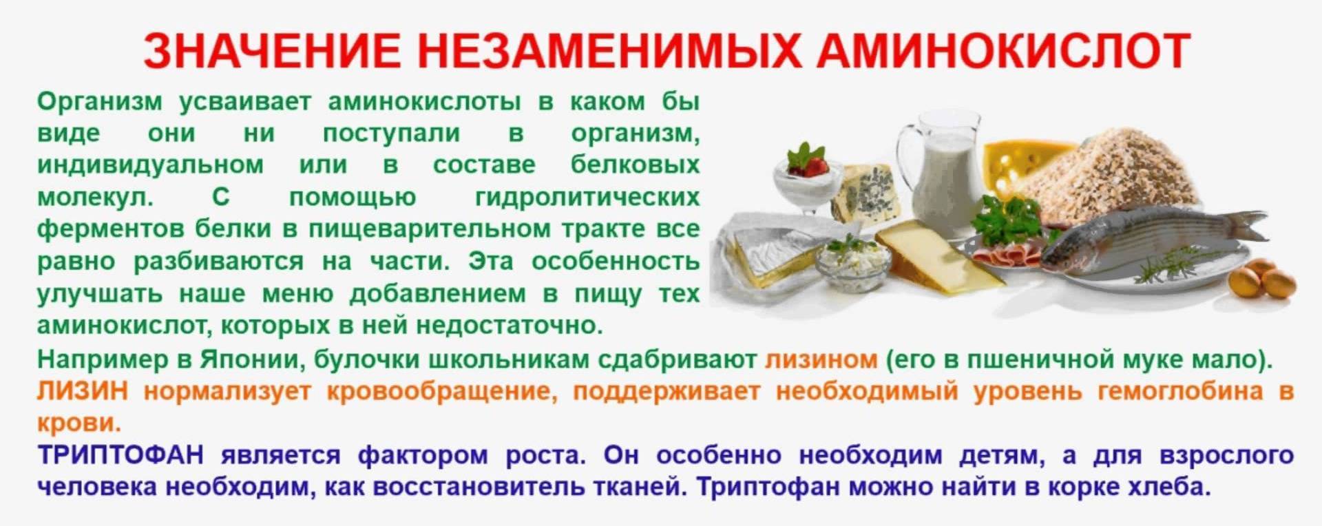 Аминокислоты для врача и пациента: почему они так важны | портал 1nep.ru
