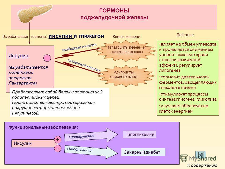 Клетки органы мишени. Гормоны поджелудочной железы и их клетки мишени. Гормоны поджелудочной железы биохимия таблица. Эффекты гормонов поджелудочной железы. Структуры вырабатывающие гормоны поджелудочной железы.