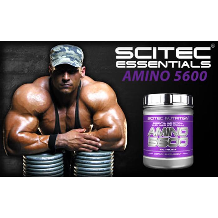 Аминокислоты scitec nutrition amino 5600, 200 tabl