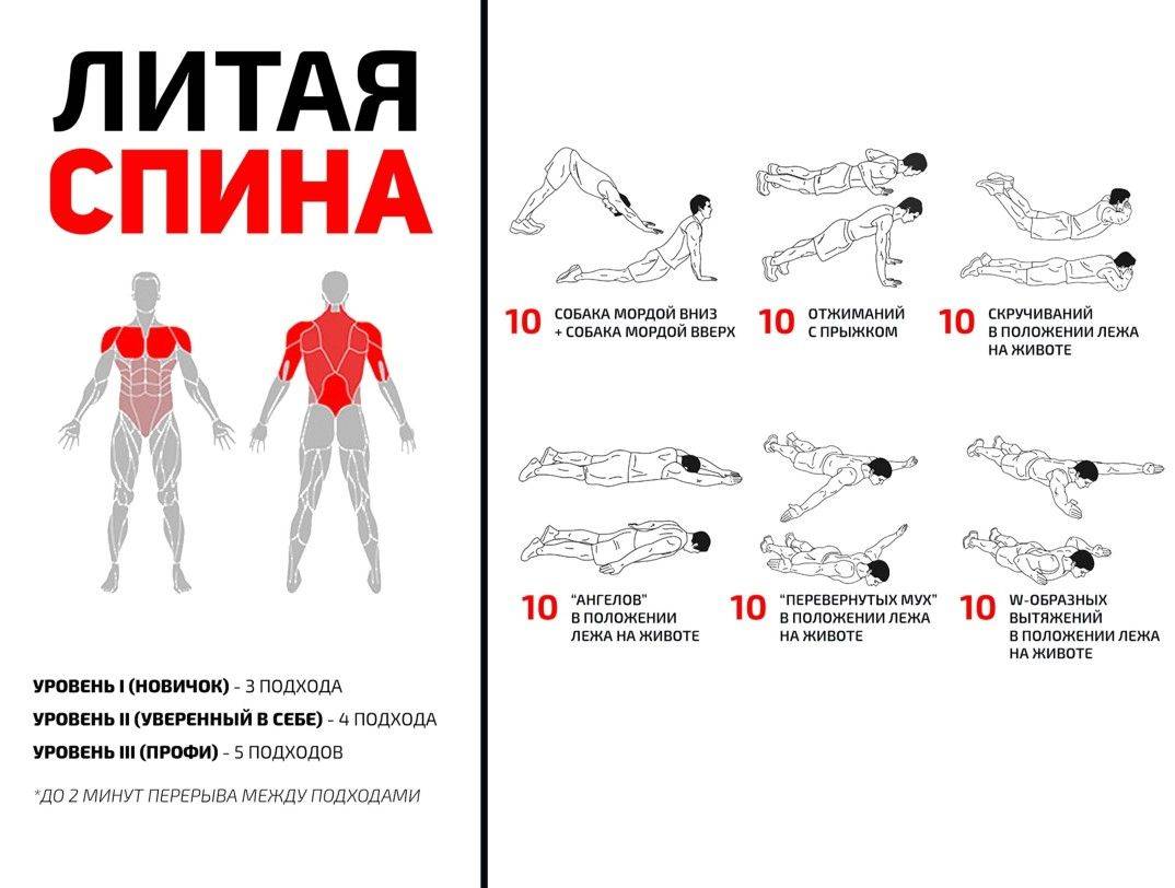 Упражнения в тренажерном зале на грудь для мужчин и девушек