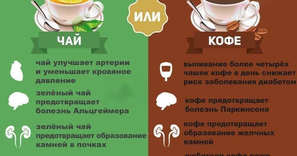 Почему кофе полезнее чая: 5 пунктов