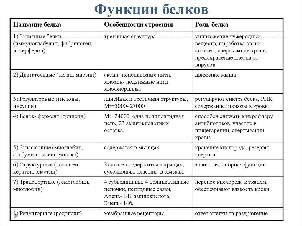 Белки строение белков 10 класс презентация