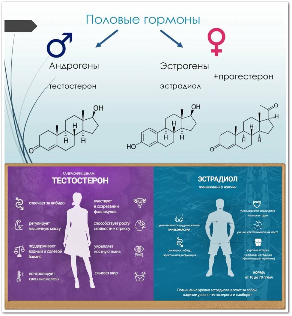 Гормон эстроген